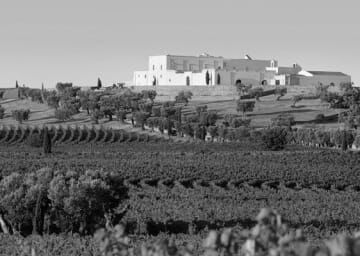 Cantine Amastuola