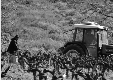 Clos Romain
