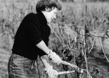 Domaine de Malavieille