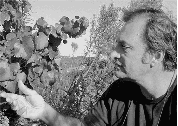 Domaine Duseigneur