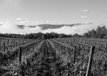 Domaine Eric et Claude Vialade