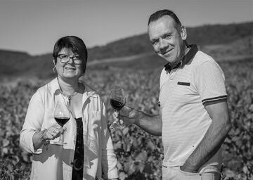 Domaine Longère