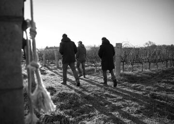 Il Vinco