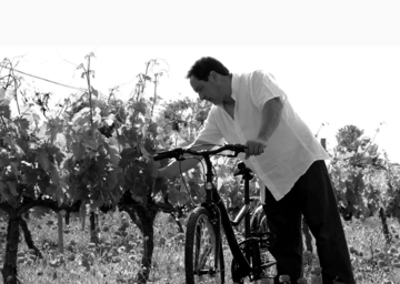 Viñedos Ruiz Jimenez